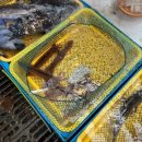 동이수산 이미지