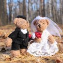 링크시스템 | 국립공원 결혼식 가격 0원? 위치 예약 신청 방법 예약시스템 링크 후기 총정리