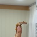 양말천국 | [은평구 놀거리] 여긴 고양이 천국…🐾 고양이 카페 “놀면묘하냥 은평점” 방문후기