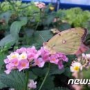 하동군지리산 생태과학관 가족여행지 이미지