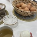 5827 | 대전바디관리 “라이트바디해독센터” 온열 해독기 찐 후기!