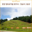 장승리 고분군 | 청양 향토유적을 찾아서-장승리 고분군