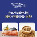 슈슈퍼피 이미지