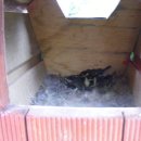 룸비니유치원 이미지