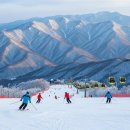 오투(O2)여성사우나 | 🏂 겨울 왕국 태백, 오투 리조트 100% 즐기기 가이드! 🎿