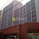 차성남로 이미지