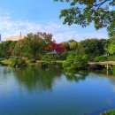 맑음그린 이미지