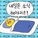 장터먹방