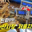 은하수산 이미지