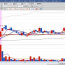 피앤이 바이오 이미지