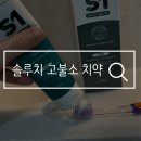 까르치아 이미지