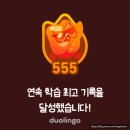 큰재봉길 | 사진일기) 25년 5월 / 재봉과 뜨개로운 먹는 나날