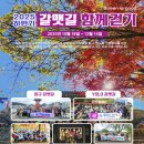 욜로(YOLO) 이미지