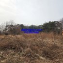 고대공인중개사사무소 이미지