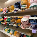 프렌즈아카데미 - 안양시 동안구 경수대로 619 | 프렌즈아카데미