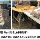안수영농장 네이버블로그
