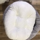 디엔씨펫 | 펫디엔씨 숨숨집 XL 구매후기