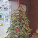 베니베이글 | [경기도/화성] 동탄 카림애비뉴 베이글 맛집 - 베니 베이글 내 돈 내산 후기
