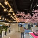 아레나 게임랜드 이미지