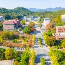 동국대학교(WISE) 불교문화대학원 이미지