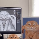 피규어 만들기 이미지