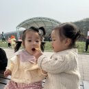 루다네 까까 이미지