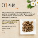 최한의원 이미지
