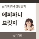 에피파니 브릿지 뜻 구조 예시 마케팅 활용 방법