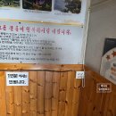 벽오동화순점 | 광주 근교 화순 보리밥 맛집 - 벽오동 화순점 방문 후기 (내돈내산)