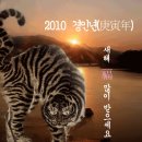 2010 년 제천시 신년사 이미지