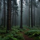 산수유자연휴양림 이미지