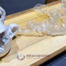 튼튼내이사랑치과의원 이미지