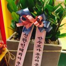농축산정육점