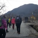 구례향기 이미지