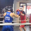 화랑 (권투) 이미지