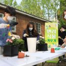 반려식물키우기 이미지