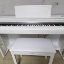 백양푸른채(당감주공3단지) | 김해장유 율상마을 모아미래도5단지 야마하디지털피아노 [50A동>>50H동] 운반