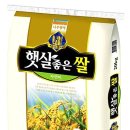 햇살좋은 이미지