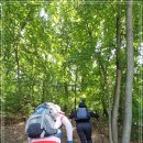 내곡동297 이미지