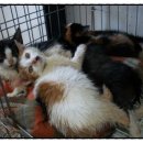 박달119안전센터 앞 이미지