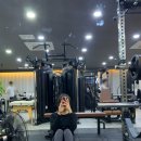 피지컬 055 GYM 이미지