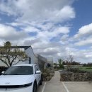 프로퍼밀도 이미지