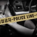 427호선 뉴스1