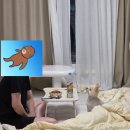 구로다나은동물병원 | [강아지디스크수술후기/수원본동물병원]수원 본동물병원 강아지 디스크수술 후기 수원 강아지 mri 검사...