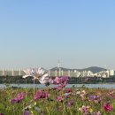 신반포로40길1-9 이미지