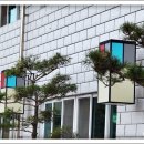 명실상감한우 이미지