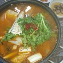 블루오션펜션 Daum카페