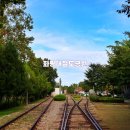 경춘선숲길공원 | 서울 이색 데이트 화랑대철도공원 경춘선숲길 아이와 가볼만한곳 추천