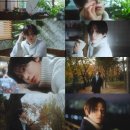 선우화분