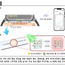 소프트로닉스